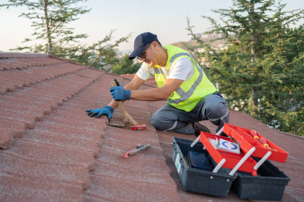 Best Flat Roof Repair Services  in USA